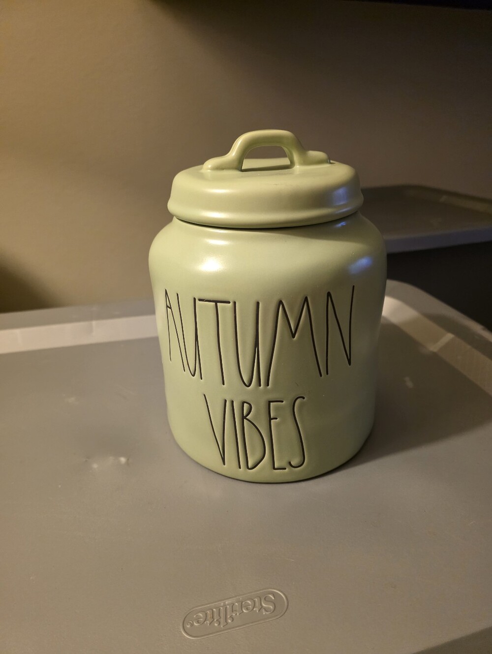 Rae Dunn Sage Green 'Autumn Vibes' Ceramic Jar